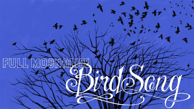 Bird Song (Single) - Free Download